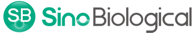 Sino biological