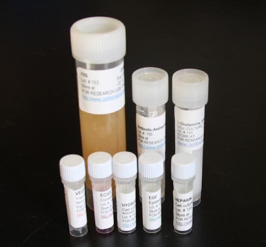 Endothelial Cell Growth Supplement (500X)