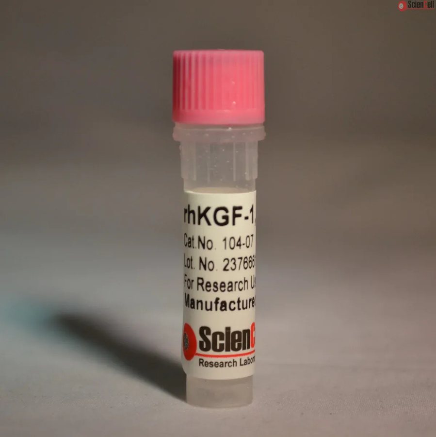 Recombinant Human Keratinocyte Growth Factor-1