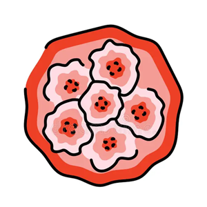 cell-teech